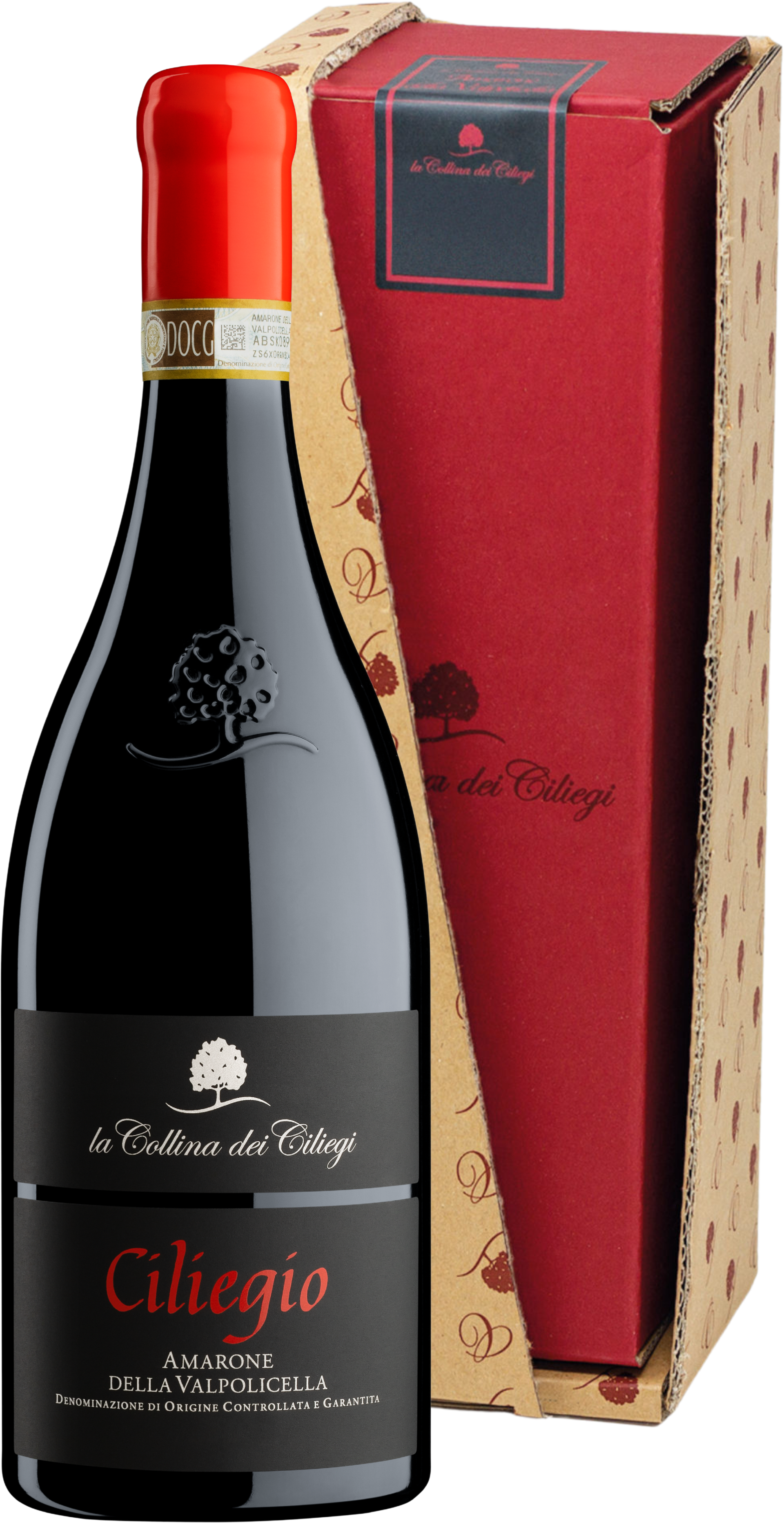 Amarone della Valpolicella 'Ciliegio' Collina dei Ciliegi 2018 (Packaging)