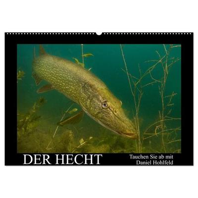 Der Hecht - Tauchen Sie ab mit Daniel Hohlfeld (Wandkalender 2027 DIN A2 quer), CALVENDO Monatskalender