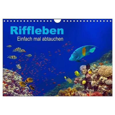 Riffleben - Einfach mal abtauchen (Wandkalender 2027 DIN A4 quer), CALVENDO Monatskalender
