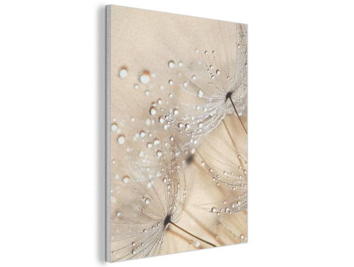 MuchoWow Akustikbild - Löwenzahn - Abstrakt - Natur - Beige - 70x100, Braun, Kunststoff, Rechteckig, 70x100x0.9 cm, Wandverkleidung, Akustikpaneele