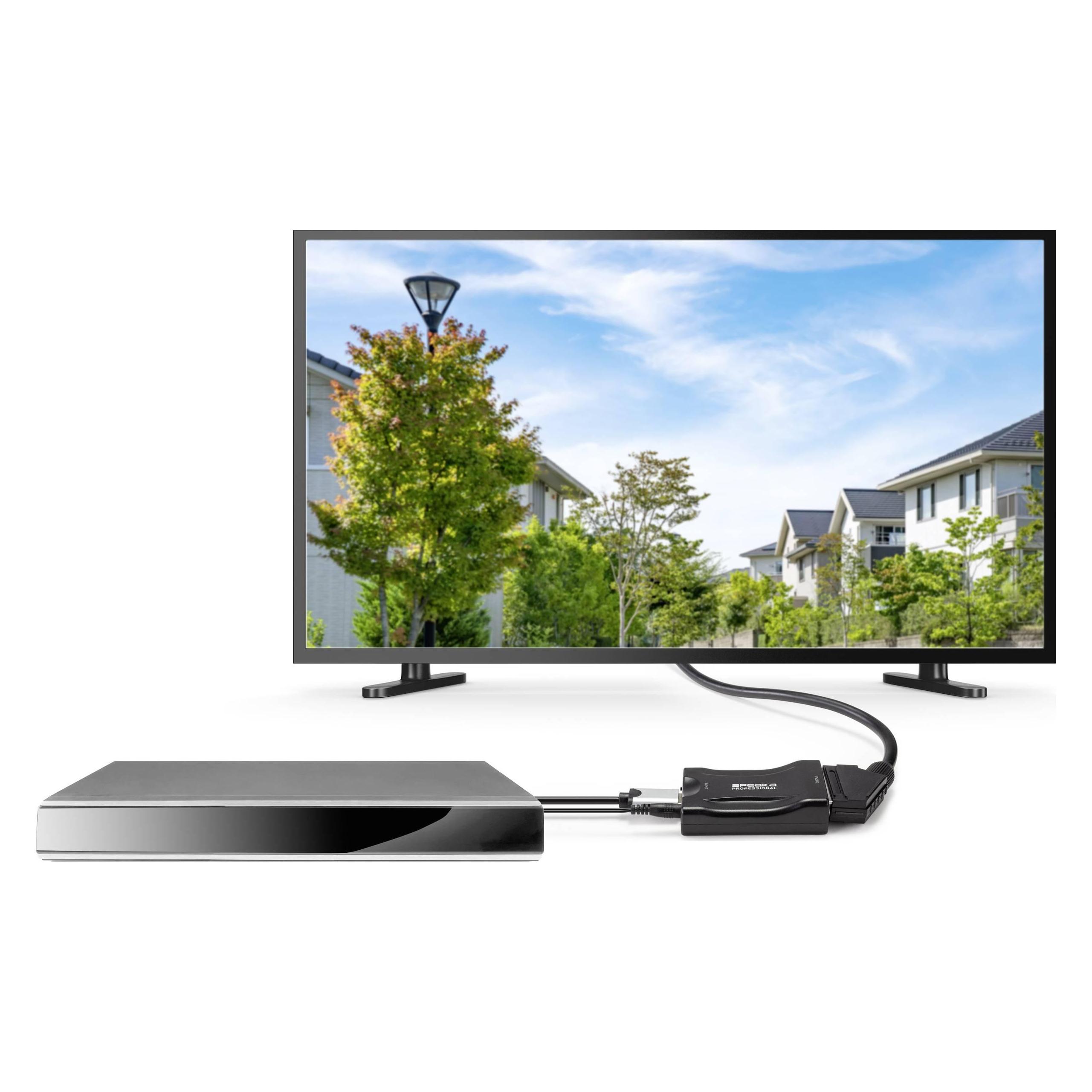 SpeaKa Professional HDMI zu SCART (0.09 m) (SP-9430148)