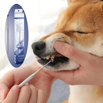 Smart Shopping Spot Stainless Steel Pet Tooth Scraper Tartar Remover & Breath Freshener For Dogs And Puppies Stainless Steel Pet Tooth Scraper Tartar Remover & Breath Freshener For Dogs And Puppies