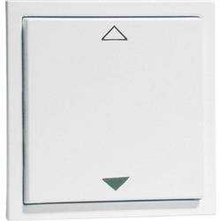 PEHA by Honeywell Komplett Wandsender Aluminium 60213 1 St.