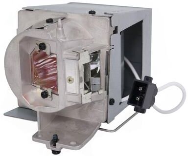 AL™ Series BL-FU310D Lamp & Housing for Optoma Projectors - 90 Day Warranty