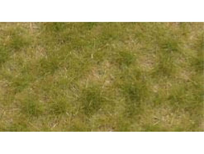 Busch - Grasbuschel Zweifarbig Kurz Spatsommer 4 Mm - BU3533