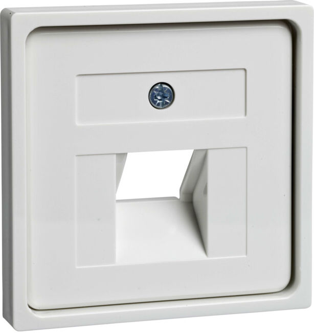 Elso Plaque centrale rws p.UAE 1xRJ45 366404 (366404)