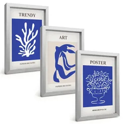 BILDER SET 3er Set - 20x30 cm Silberner Rahmen - Matisses abstrakte Plakate