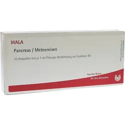 PANCREAS/METEOREISEN Ampullen 10X1 ml