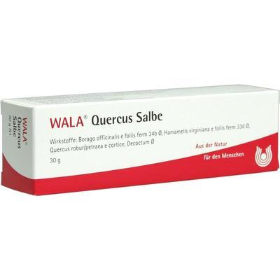 WALA Heilmittel GmbH QUERCUS SALBE 30 g 01448458
