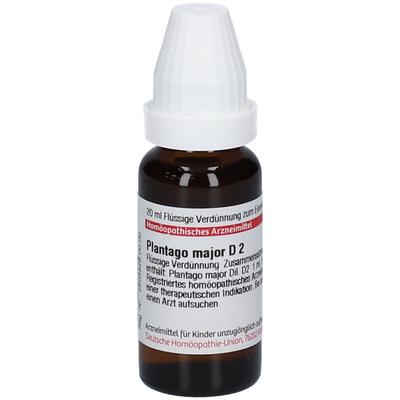Plantago Major D 2 Dilution 20 ml