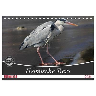 Heimische Tiere (Tischkalender 2026 DIN A5 quer), CALVENDO Monatskalender
