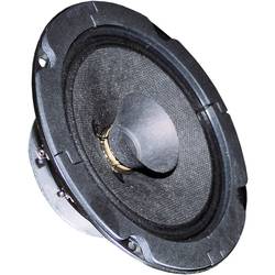 Visaton BG 13 P - 8 Ohm 5 Zoll 13 cm Breitbänder 20 W 8 Ω 3011