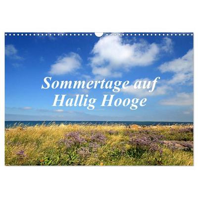 Sommertage auf Hallig Hooge (Wandkalender 2027 DIN A3 quer), CALVENDO Monatskalender