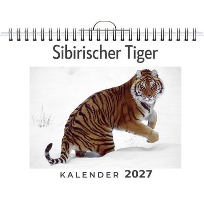 Sibirischer Tiger