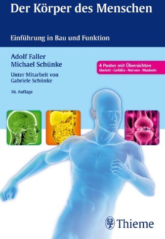 Adolf Faller - Der Körper des Menschen: Einführung in Bau und Funktion - Preis vom 09.10.2026 07:28:09 h