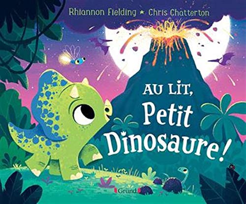 Rhiannon Fielding - Au lit, petit dinosaure ! - Preis vom 02.10.2026 23:42:20 h