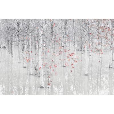 Fototapete PAPERMOON "Photo-Art FIORENZO CAROZZI, ROT EIN WEIß", bunt, B:3,5m L:2,6m, Vlies, Tapeten