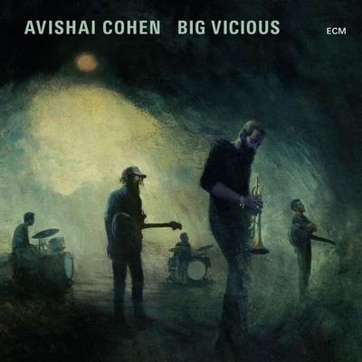 Big Vicious - Avishai Cohen, CD