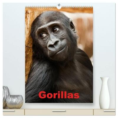 Gorillas (hochwertiger Premium Wandkalender 2027 DIN A2 hoch), Kunstdruck in Hochglanz