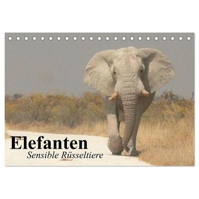 Elefanten. Sensible Rüsseltiere (Tischkalender 2027 DIN A5 quer), CALVENDO Monatskalender