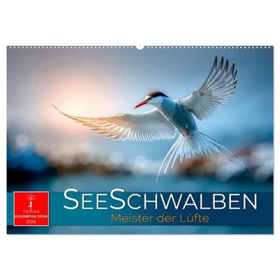 Seeschwalben - Meister der Lüfte (Wandkalender 2026 DIN A2 quer), CALVENDO Monatskalender