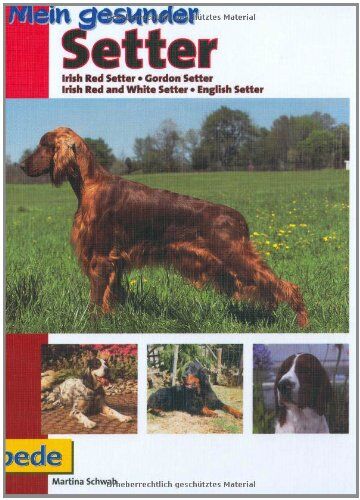 Martina Schwab - Mein gesunder Setter: Irish Red Setter - Gordon Setter -Irish Red and White Setter - English Setter - Preis vom 30.09.2026 22:30:23 h