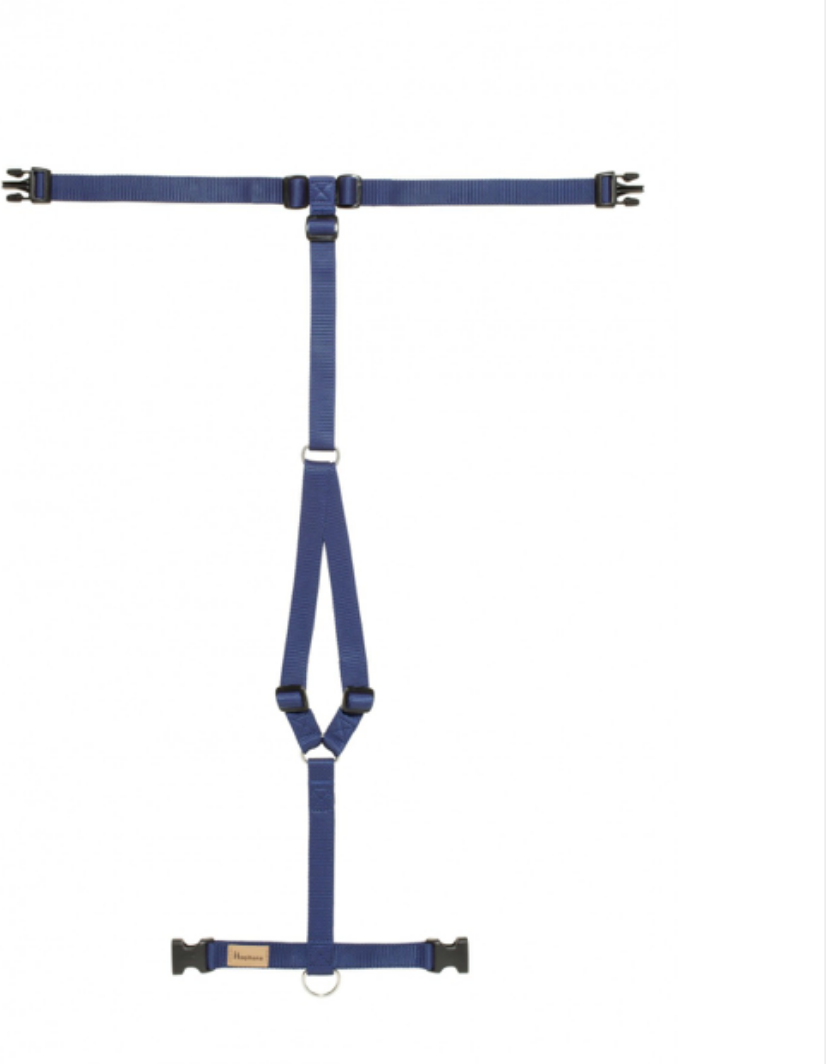 Haqihana Pettorina ad H Blu in Nylon per Cani XL