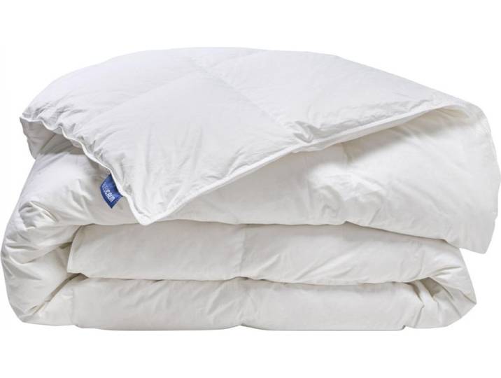Bleu Calin Couette Chaude 90% Duvet de Canard - 240x260cm