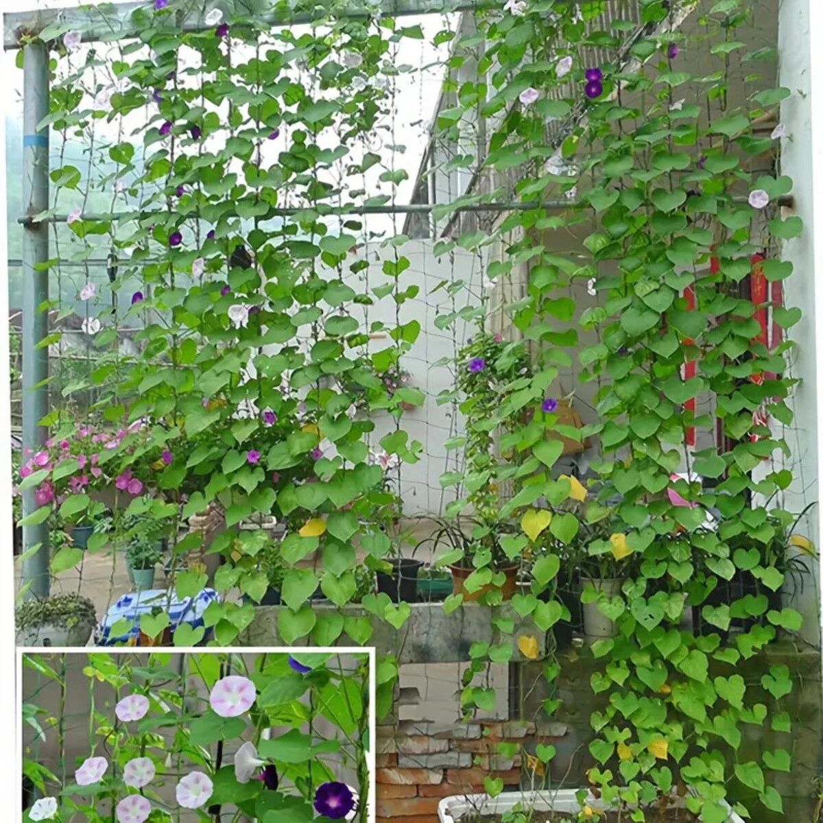INF Nylon-Ranknetz 360cm x 180cm – 27-Strang mit verstärkter Kante, Entengrün, Pflanzenstütze für vertikale Bepflanzung und