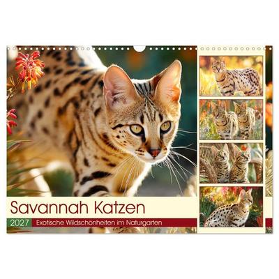 Savannah Katzen. Exotische Wildschönheiten im Naturgarten (Wandkalender 2027 DIN A3 quer), CALVENDO Monatskalender
