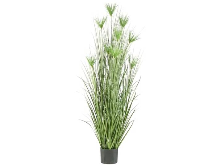 Künstliches Zyperngras Cyperus 210cm im Topf GA – Imposantes Deko-Gras wie echt im Topf – Kunstgrasbusch mit 9 Blütenwedeln & Raumteiler für Foyer, Büro & Wohnzimmer