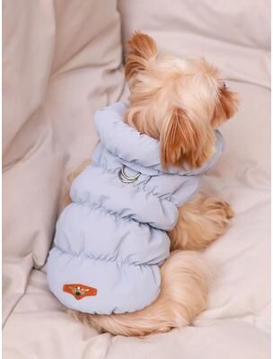 Uplifted Finds Premium Dog Jacket For Autumn Winter blue xs