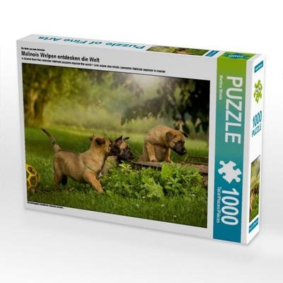 CALVENDO Puzzle Hundekinder entdecken die Welt... 1000 Teile Puzzle quer | 1000 Teile Lege-Größe 64 × 48 cm Foto-Puzzle für glückliche Stunden