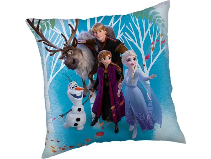 Disney Frozen Sierkussen Family - 40 x 40 cm - Polyester
