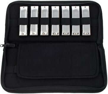 C.A. Seydel Söhne Harmonica Set Session