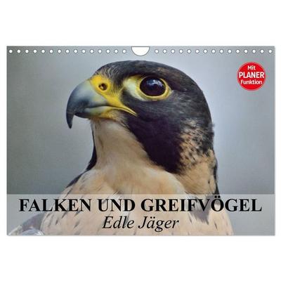 Falken und Greifvögel - Edle Jäger (Wandkalender 2027 DIN A4 quer), CALVENDO Monatskalender