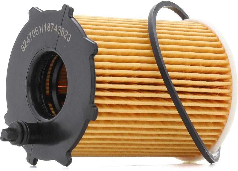 RIDEX PLUS 100908O0041P Oil change kit (oil filter + engine oil)
