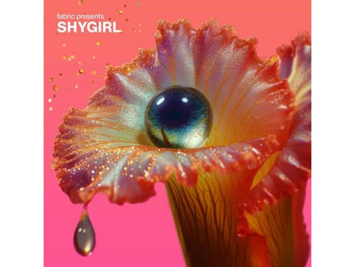 Fabric Presents Shygirl