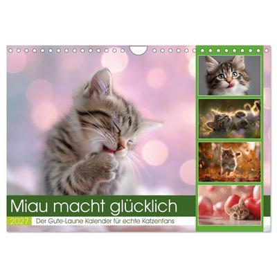 Miau macht glücklich (Wandkalender 2027 DIN A4 quer), CALVENDO Monatskalender