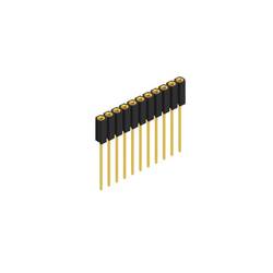 Fischer Elektronik Buchsenleiste (Präzision) Anzahl Reihen: 1 10025818 10 St.