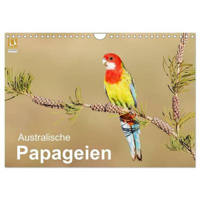 Australische Papageien (Wandkalender 2027 DIN A4 quer), CALVENDO Monatskalender