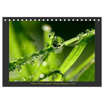 Meine kleine grüne Wassertropfen Welt (Tischkalender 2027 DIN A5 quer), CALVENDO Monatskalender