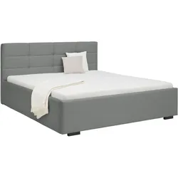 Polsterbett Nelo in Grau ca. 160x200cm