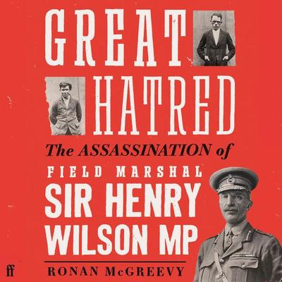 Great Hatred - Ronan Mcgreevy, Audio, 9780571372843