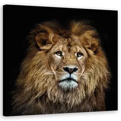 WANDBILD majestätischer löwe