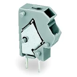 WAGO GmbH &amp; Co. KG 2LeiterLeiterplattenklemme 254-807
