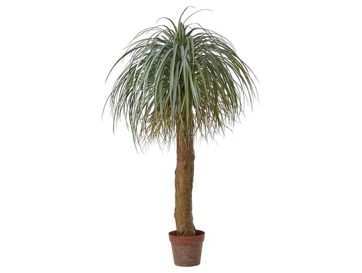 Kunstpflanze Palme Yucca h: 150 cm