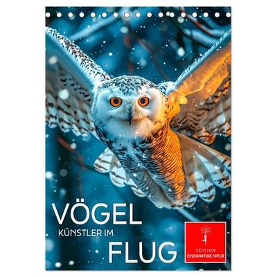 Vögel - Künstler im Flug (Tischkalender 2027 DIN A5 hoch), CALVENDO Monatskalender