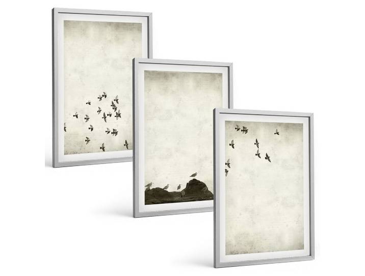 BILDER SET 3er Set - 40x60 cm Silberner Rahmen - Vögel im Flug, minimalistischer Stil