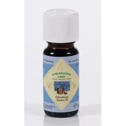 Sauna Öl 10ml  Gletschereis